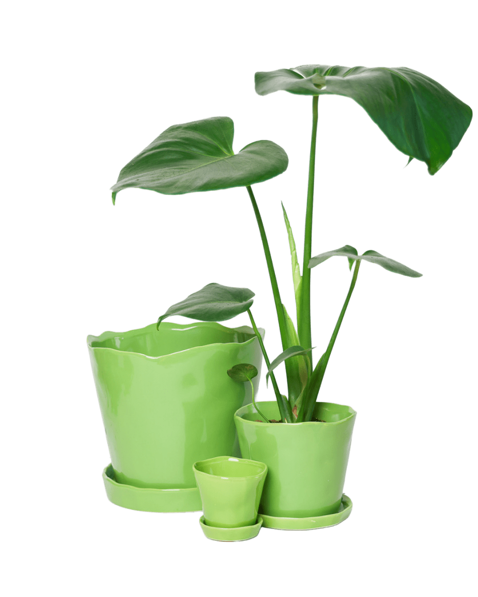Tika Ceramic Pot & Saucer