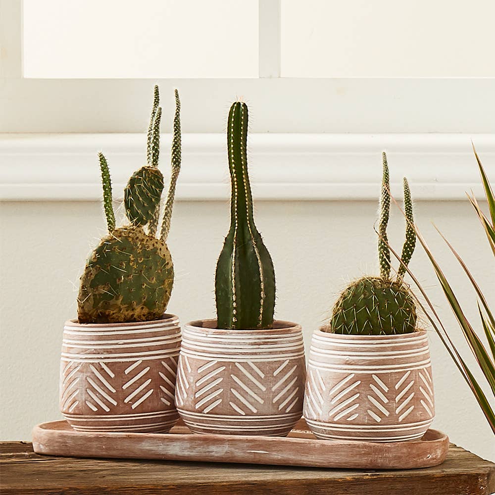 Novo Clay Planter Set