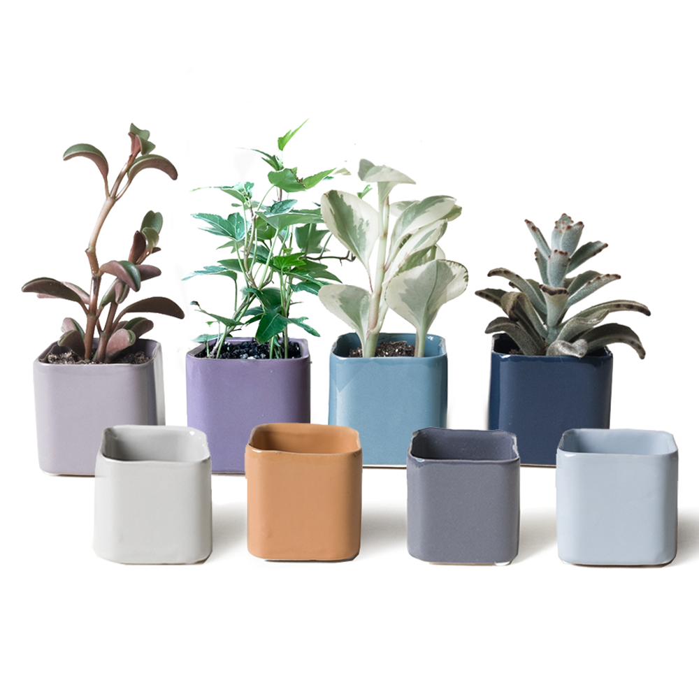 Mini Cube Ceramic Pots