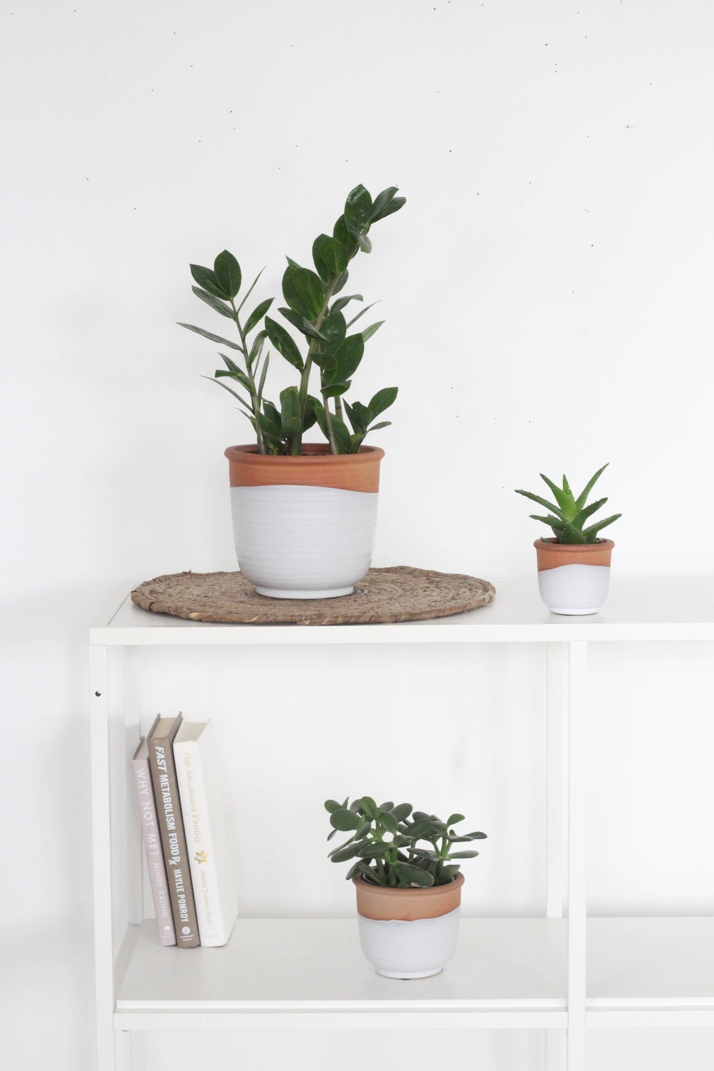 Terracotta Matte White Ceramic Pot