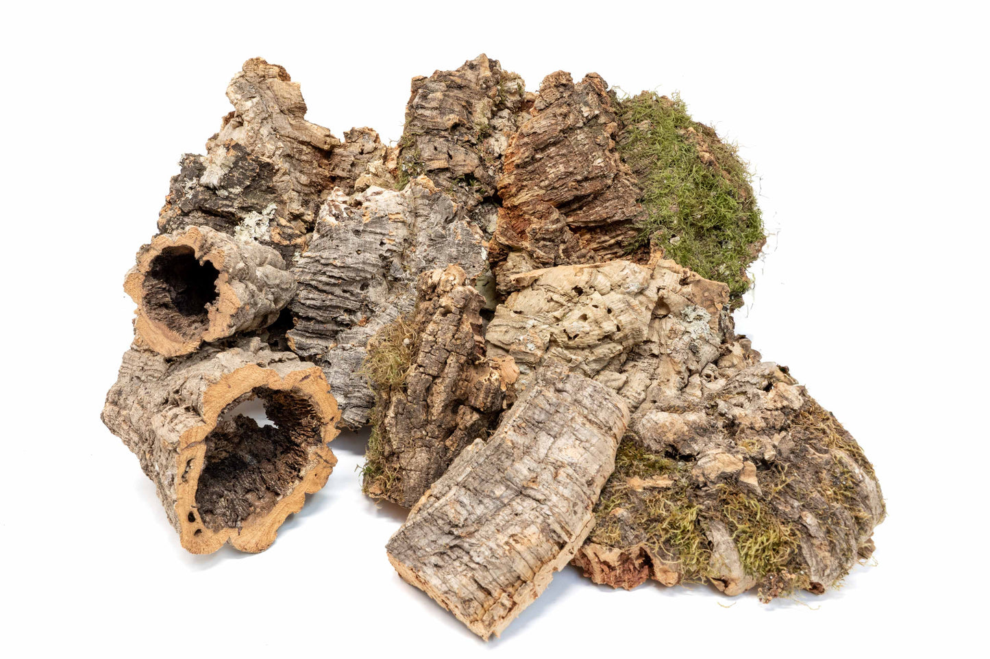 Assorted Cork Bark for Terrariums