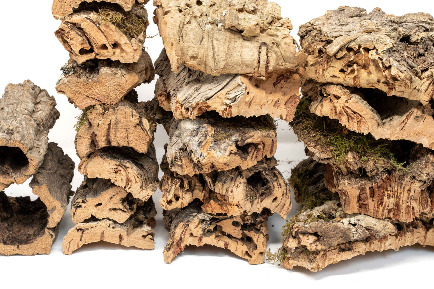 Assorted Cork Bark for Terrariums
