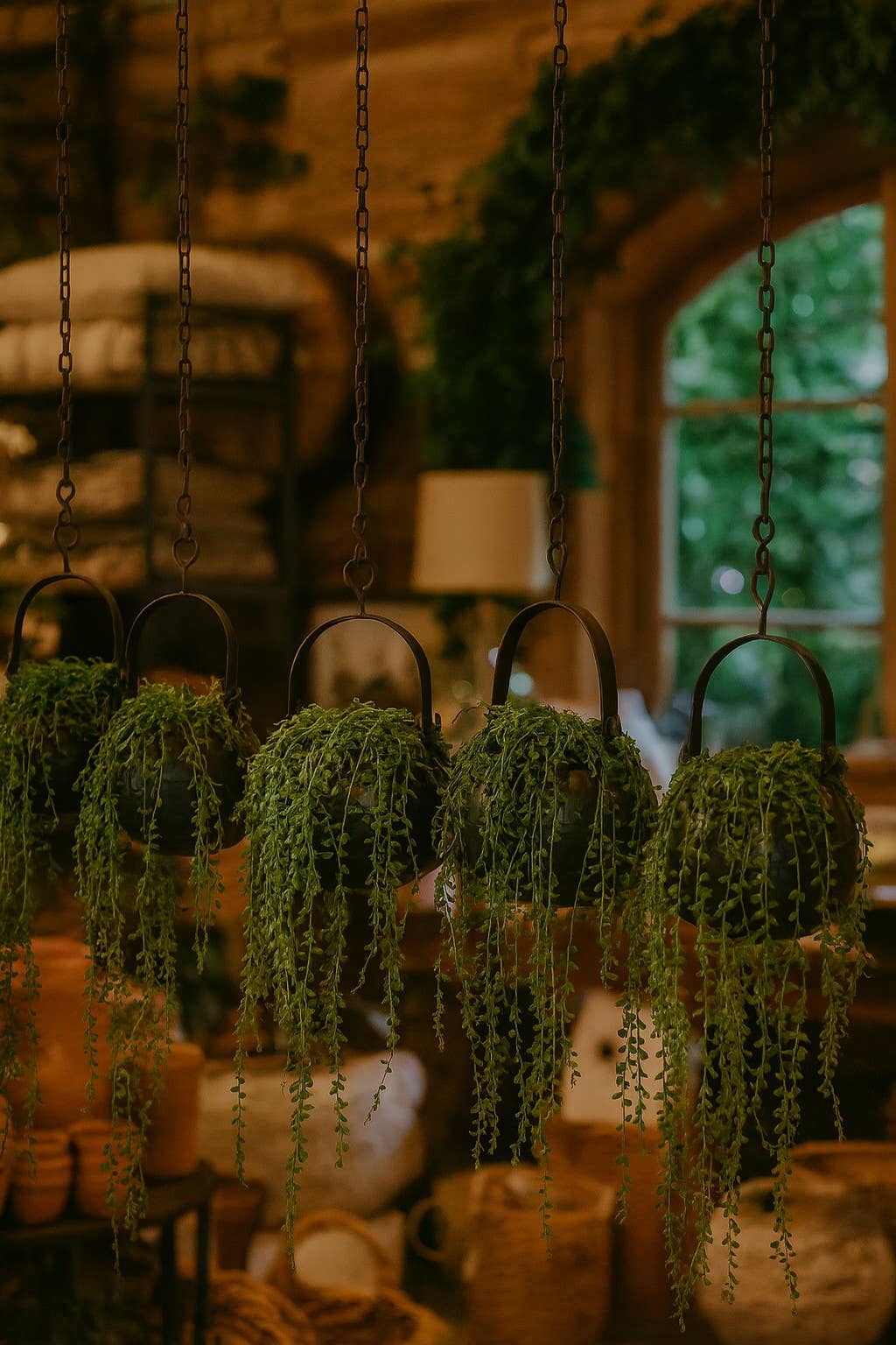 Hanging Iron Planter