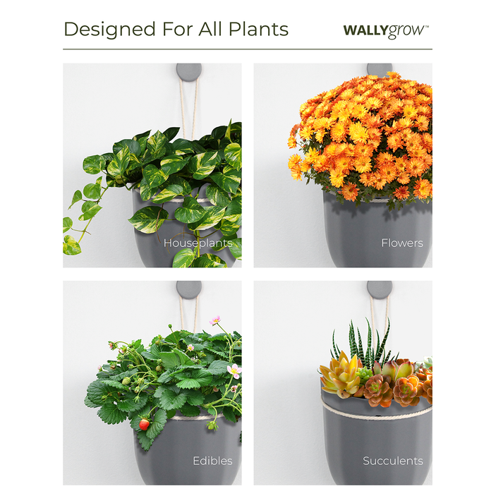 Loop Hanging Planter in Terracotta