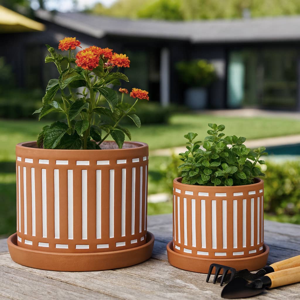 Ceramic Orange Striped Pot & Saucer