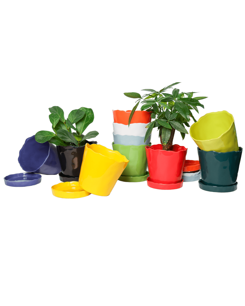 Tika Ceramic Pot & Saucer