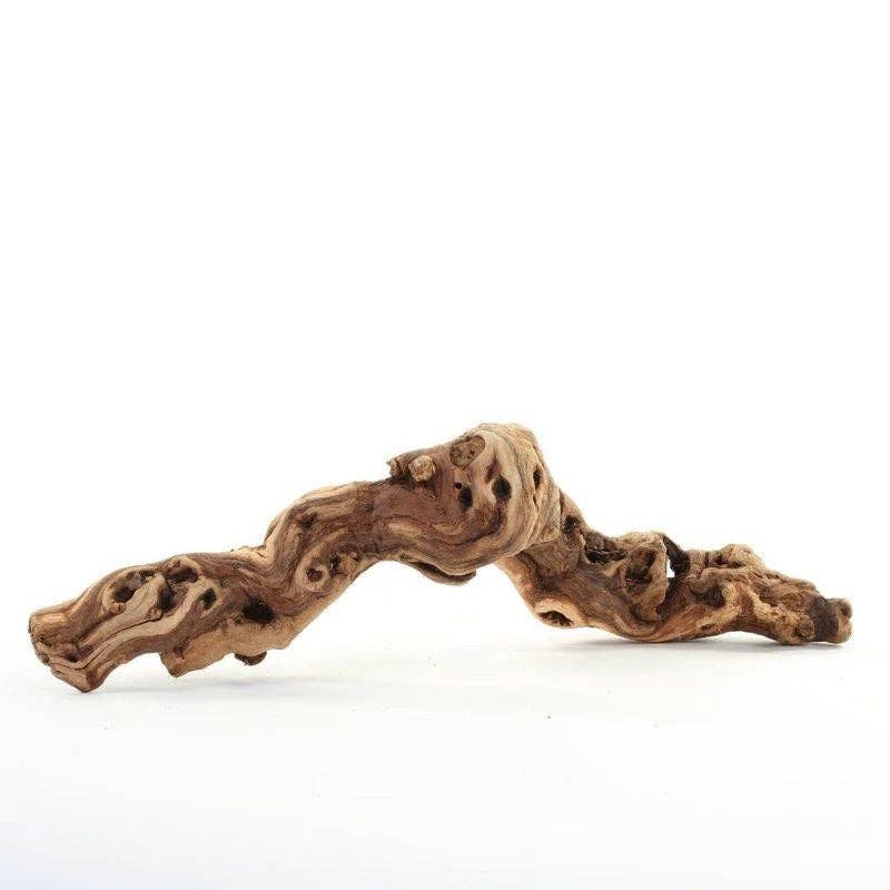 Natural Grape wood Vine Branch