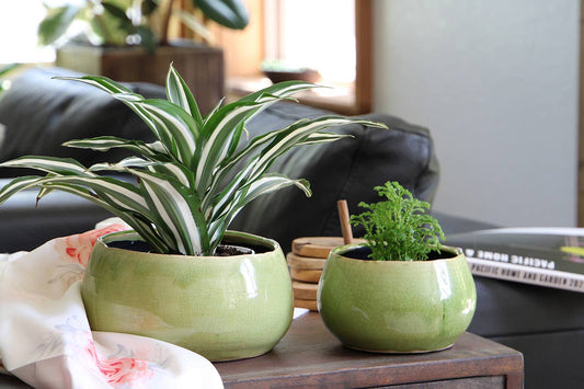 Pistachio Crackle Freeform Bowl