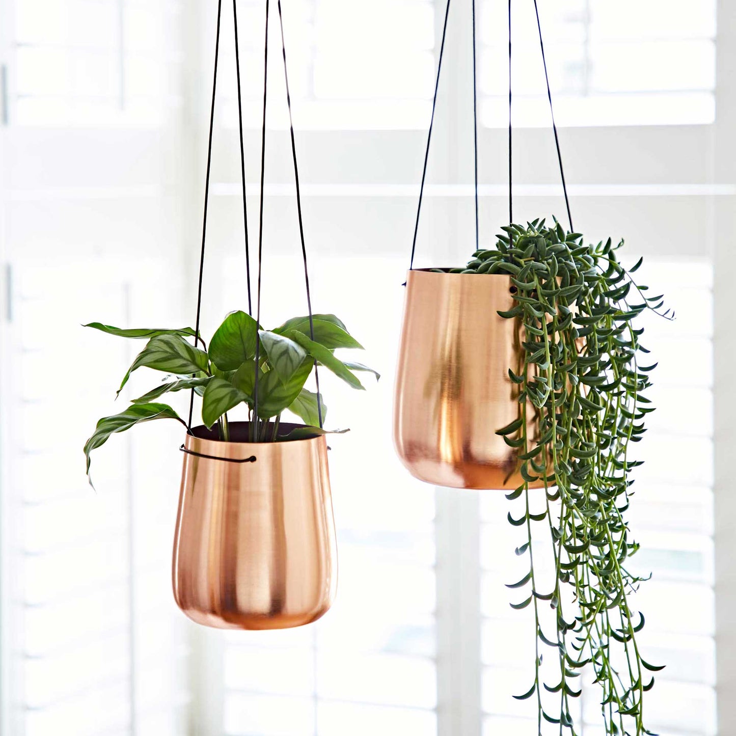 Handmade Iron Hanging Planter