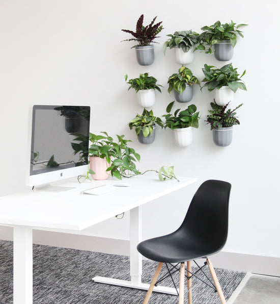 Loop Hanging Planter in Gravel
