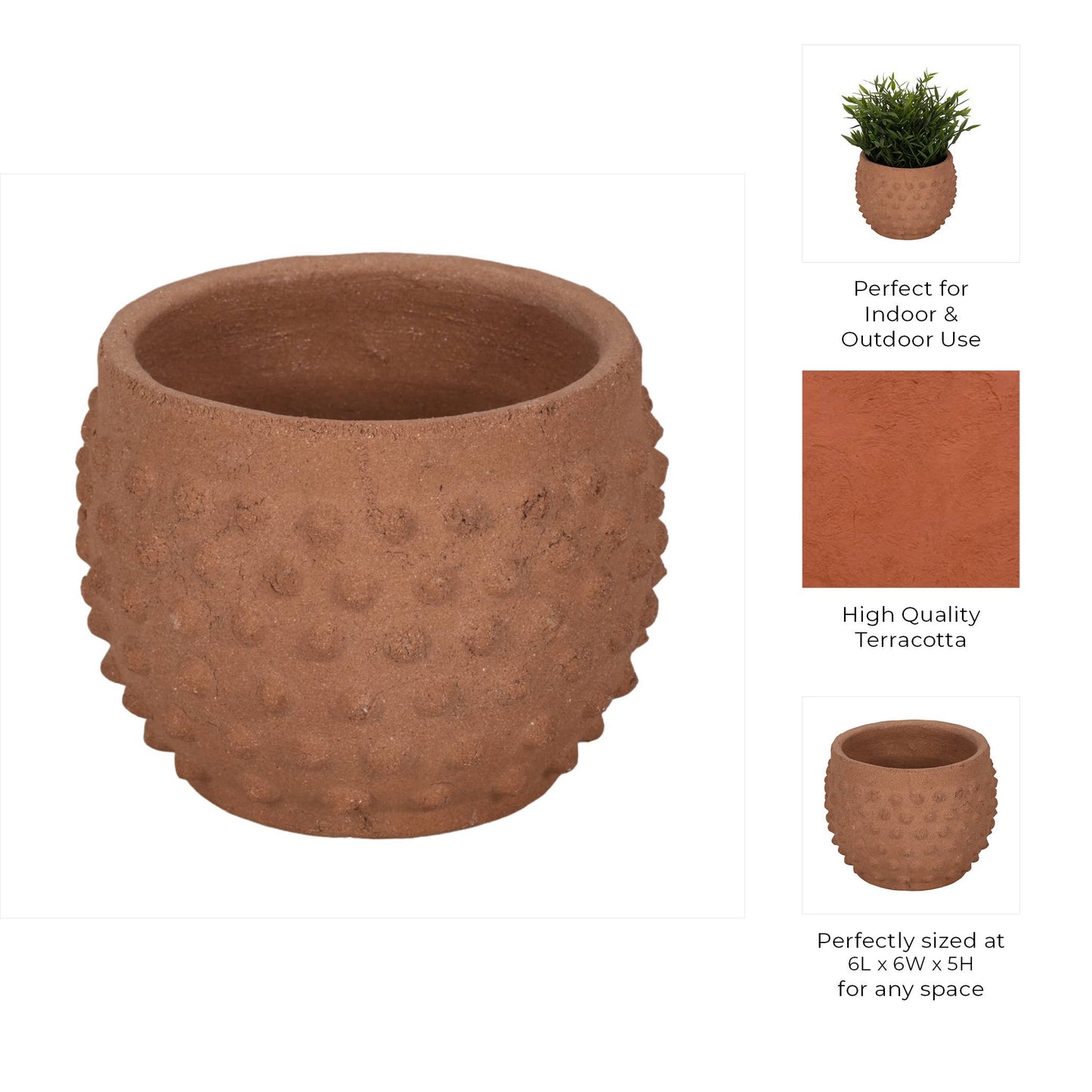 Terracotta Bubble Textured 6" Pot