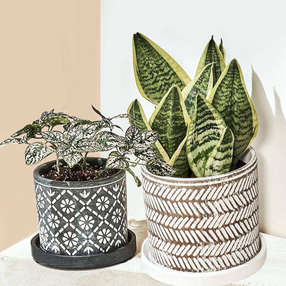 Grey Paisley Boho Planter