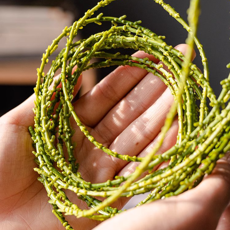 Hanging Artificial Succulent Stem