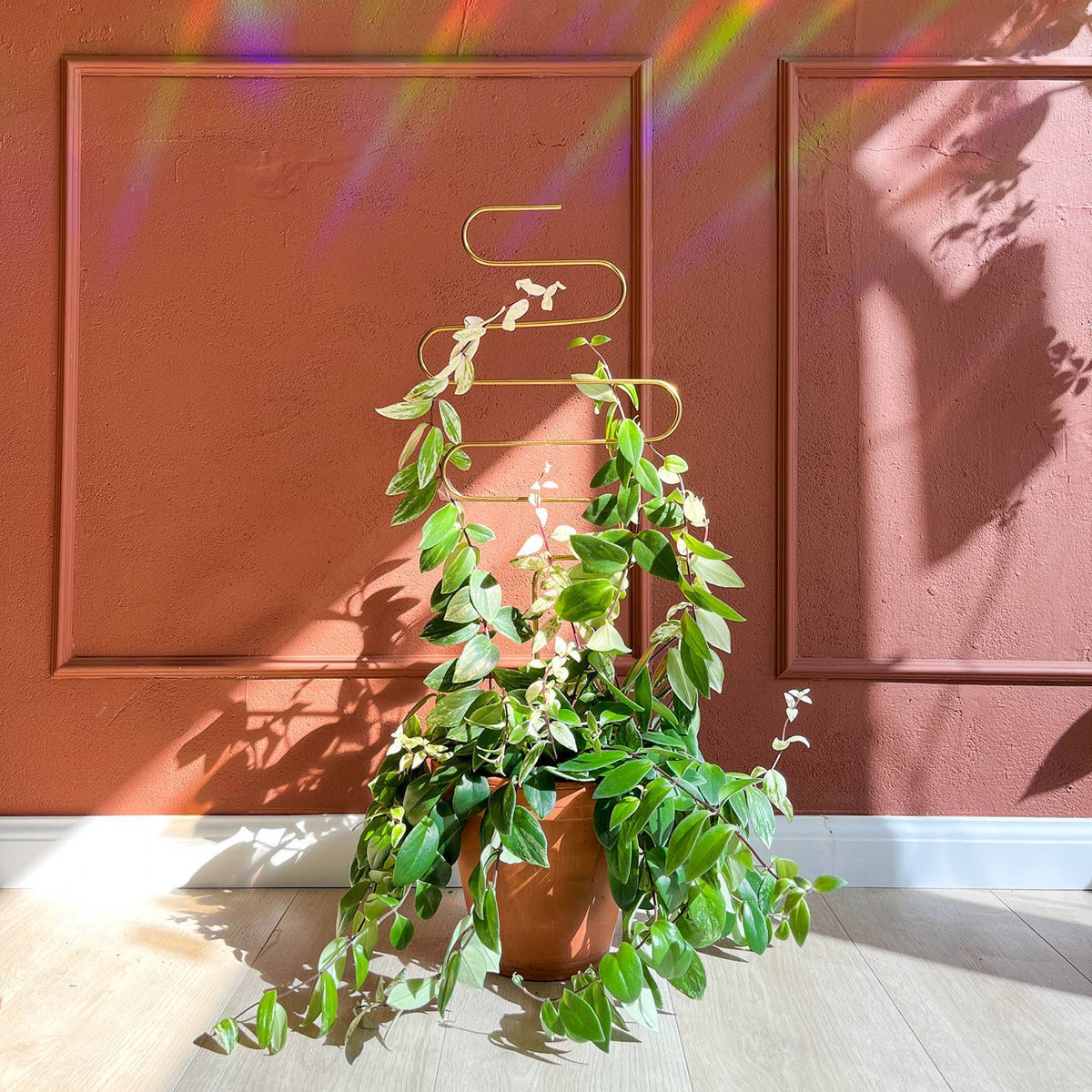 Golden Squiggle Plant Stake