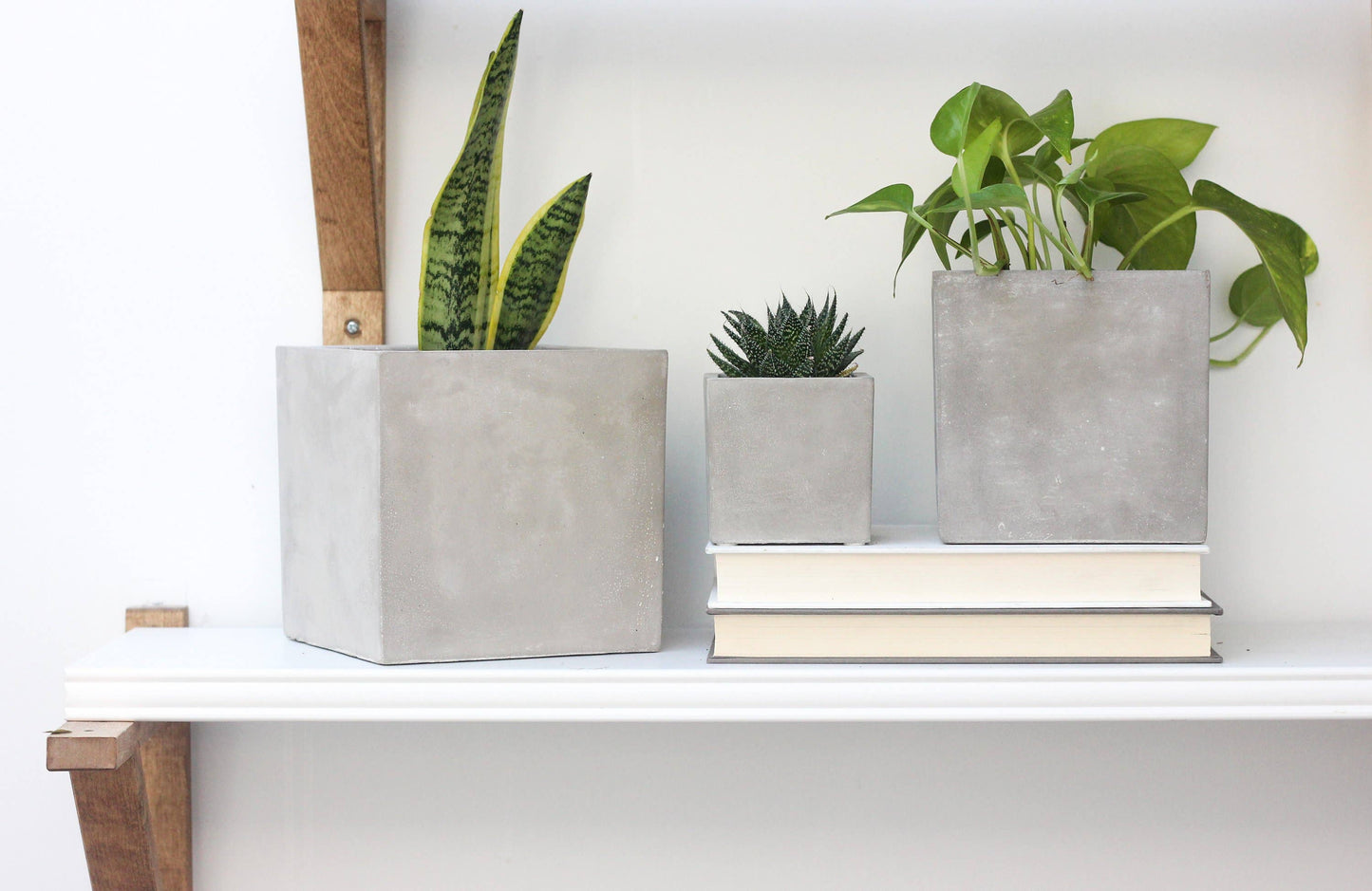 Mini Concrete Cement Square Cube Planter Pot: 3"