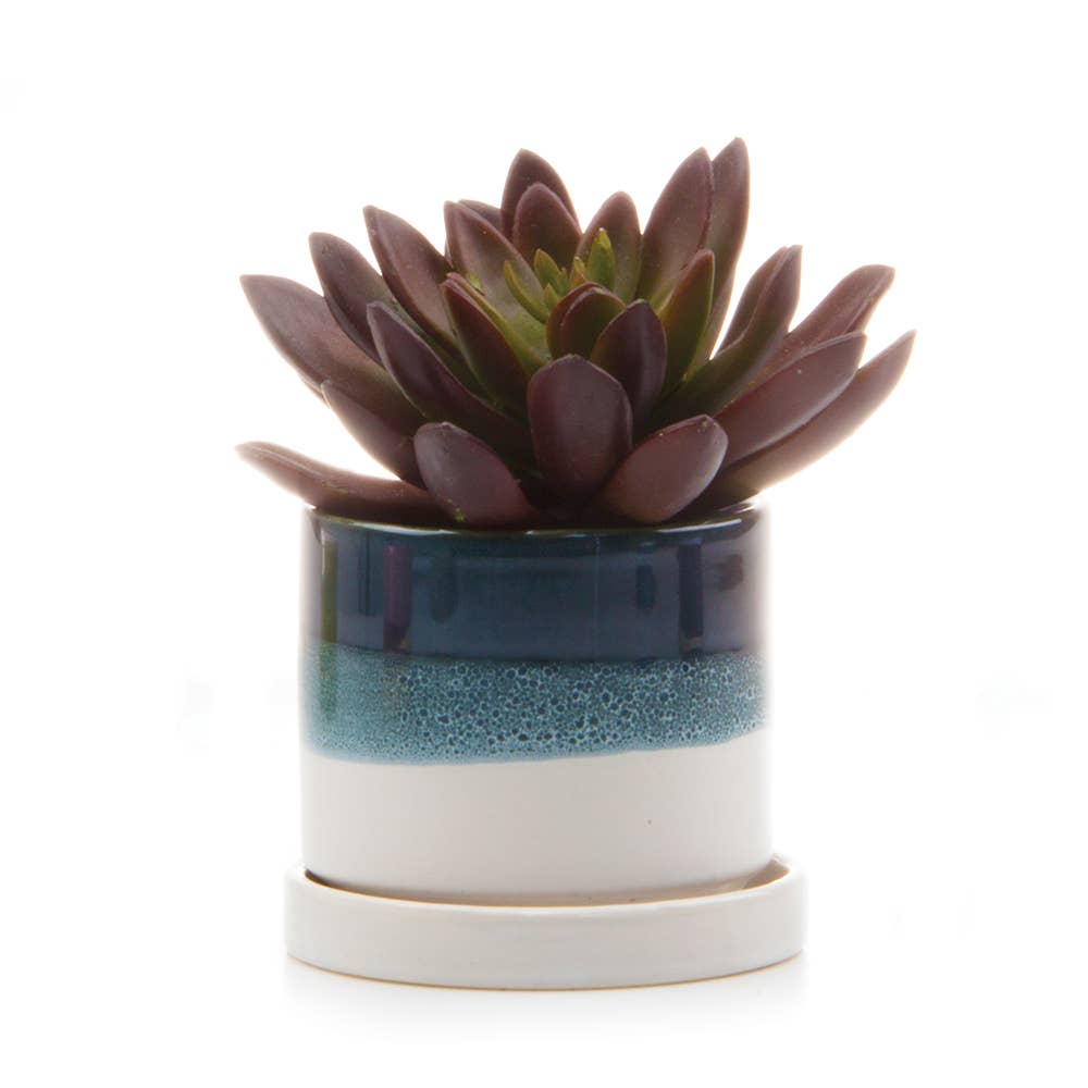 Minute Pot & Saucer