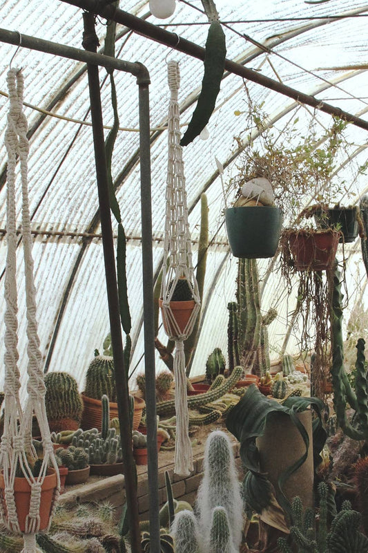 Macrame Plant Hanger 44"