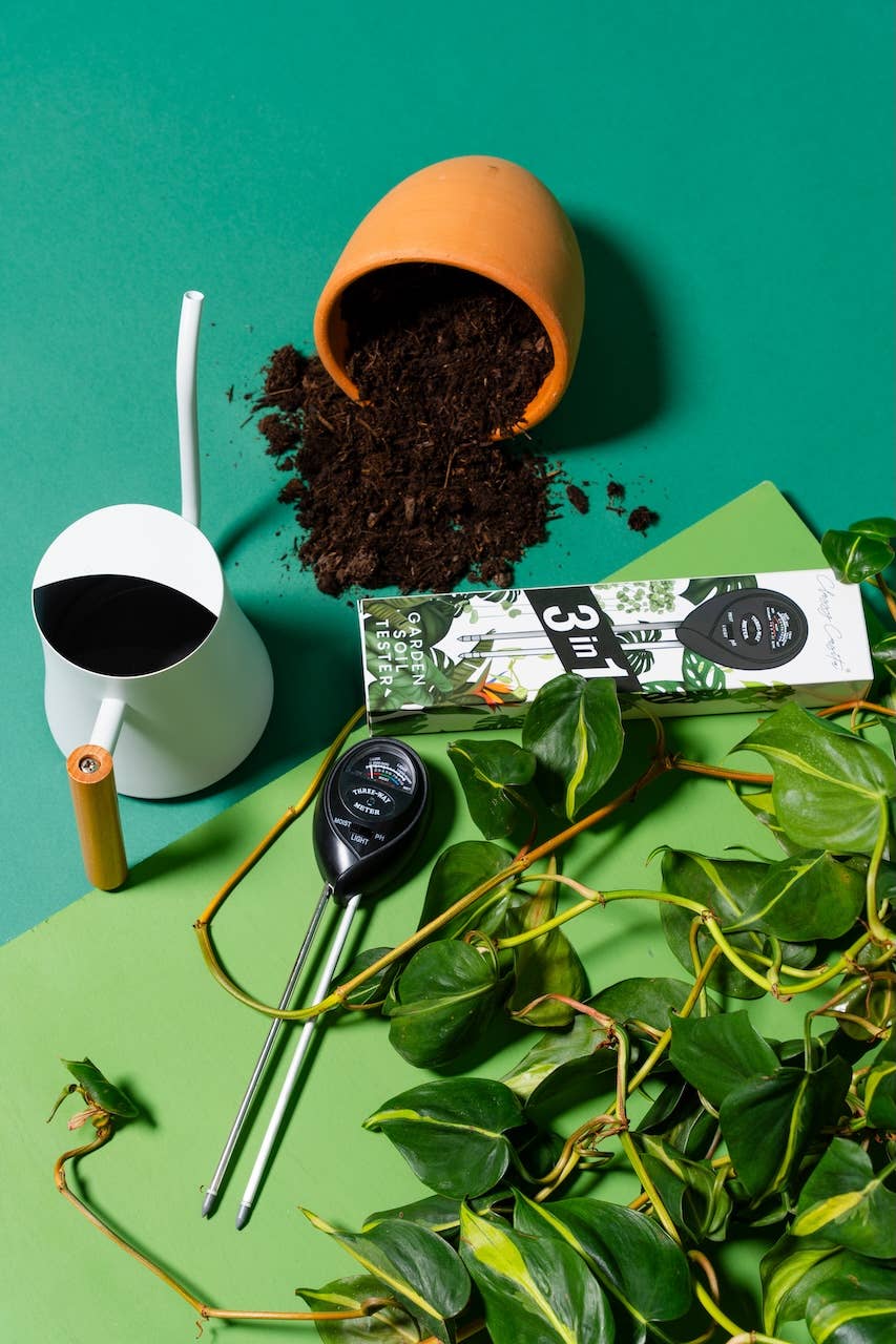 3 in 1 Moisture Meter