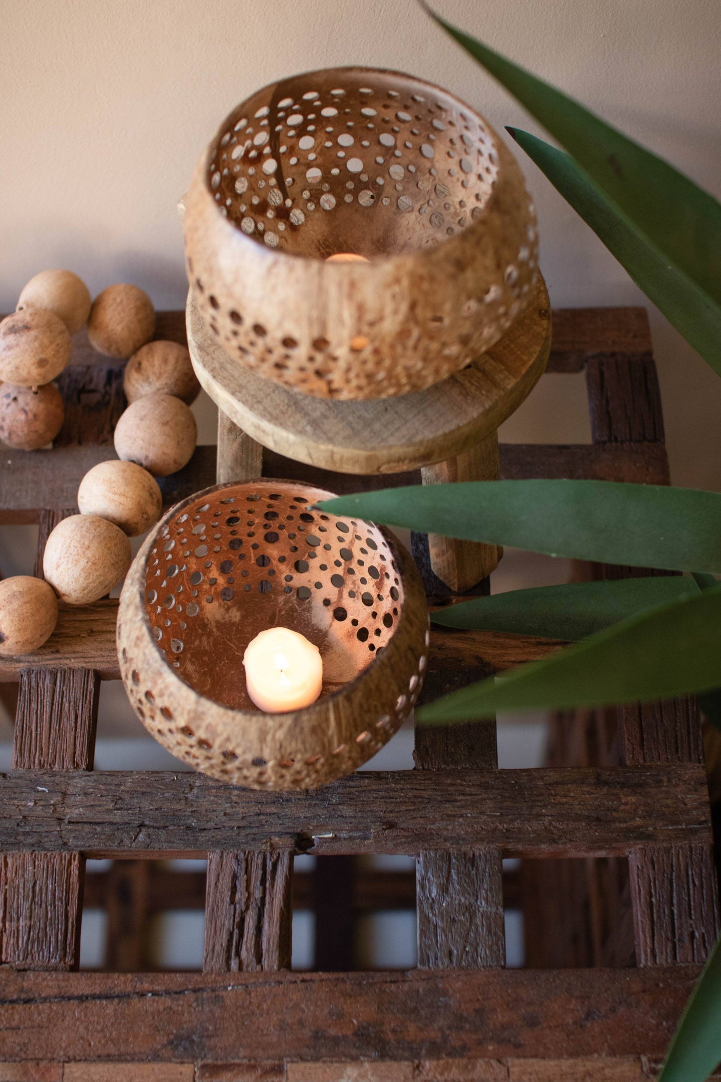 Hand Carved Coconut Bowl
