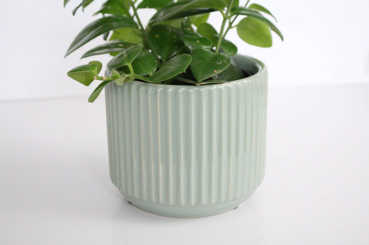 Fluted Sage Glazed Pot
