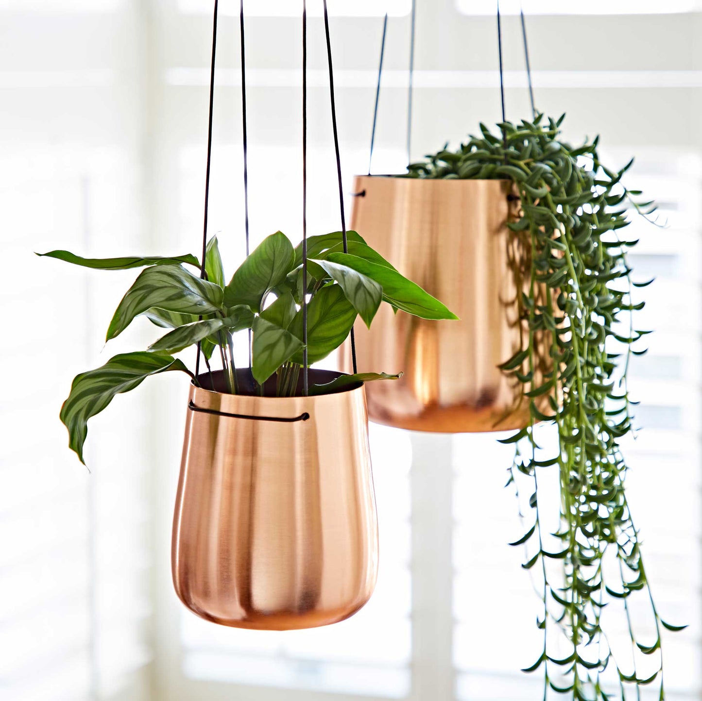 Handmade Iron Hanging Planter