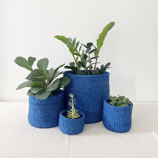 Blueberry Storage Plant Basket