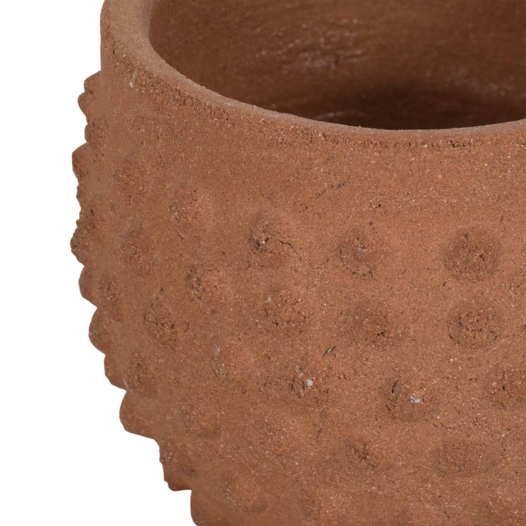 Terracotta Bubble Textured 6" Pot