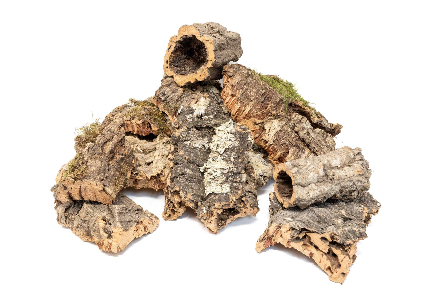 Assorted Cork Bark for Terrariums