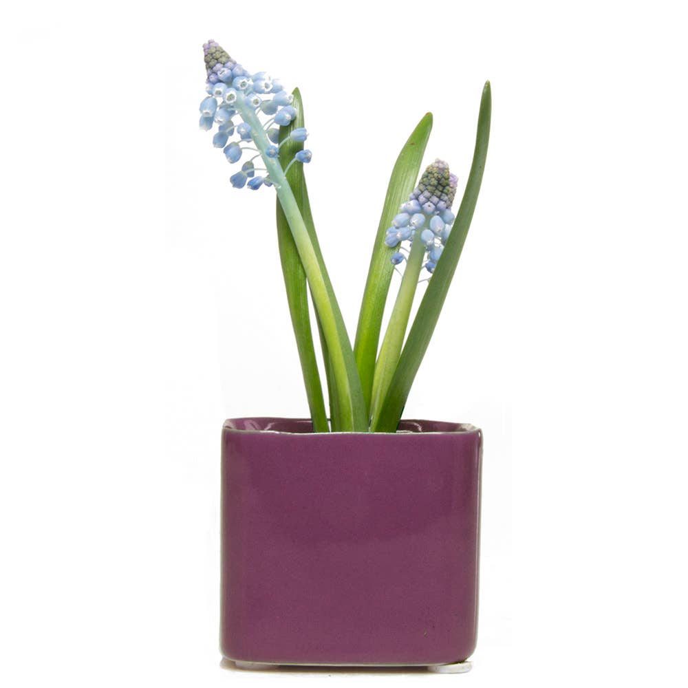 Mini Cube Ceramic Pots