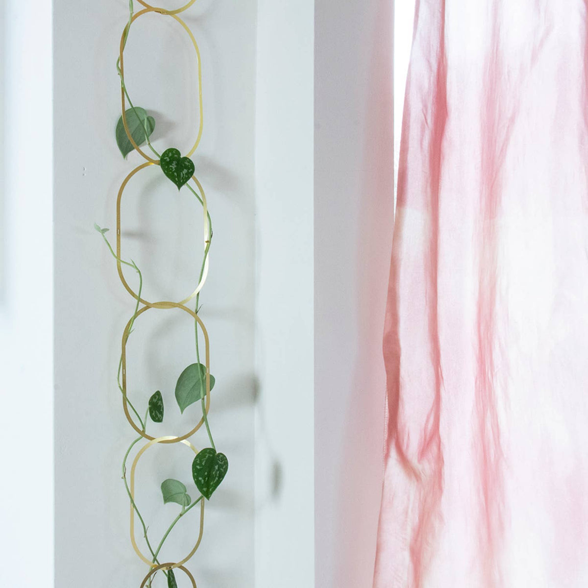 Climbing Plant Gold Brass Chain