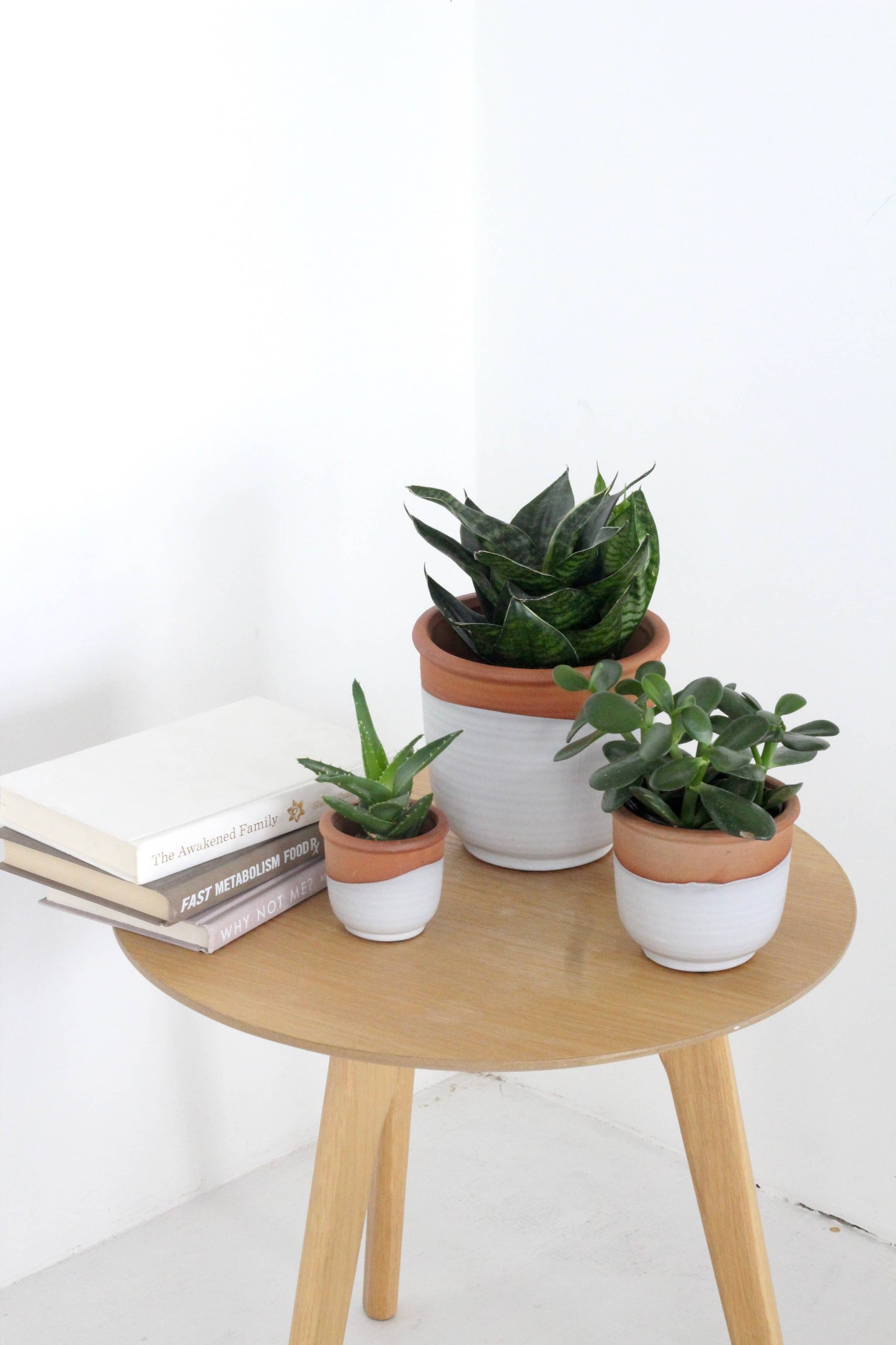 Terracotta Matte White Ceramic Pot