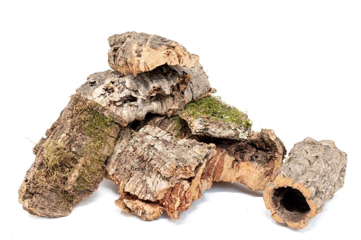 Assorted Cork Bark for Terrariums