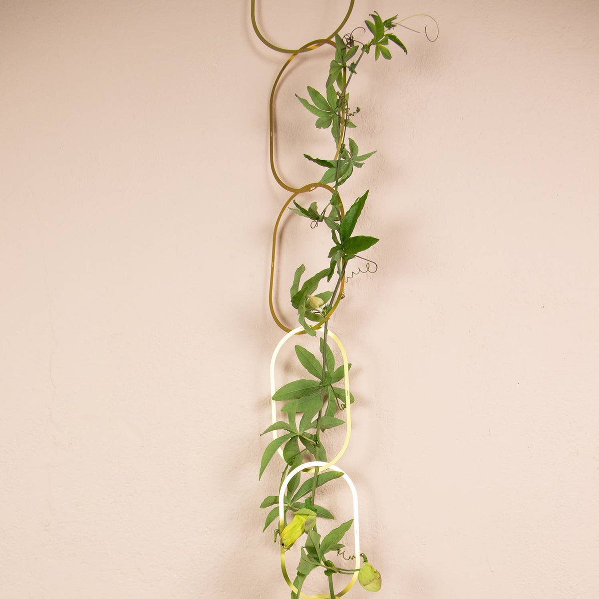 Climbing Plant Gold Brass Chain