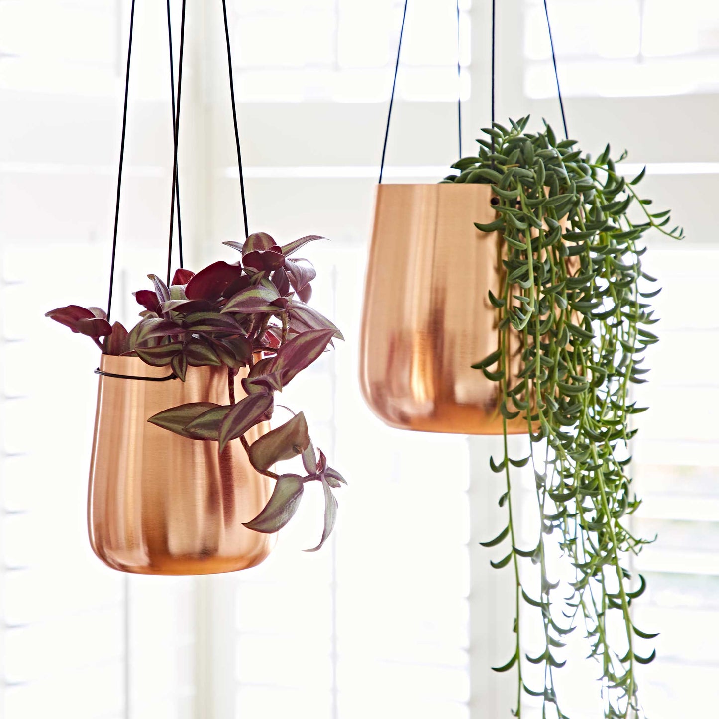 Handmade Iron Hanging Planter