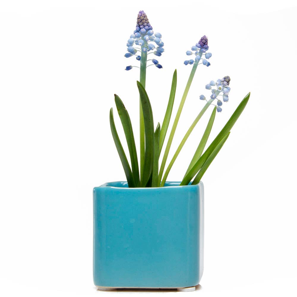 Mini Cube Ceramic Pots