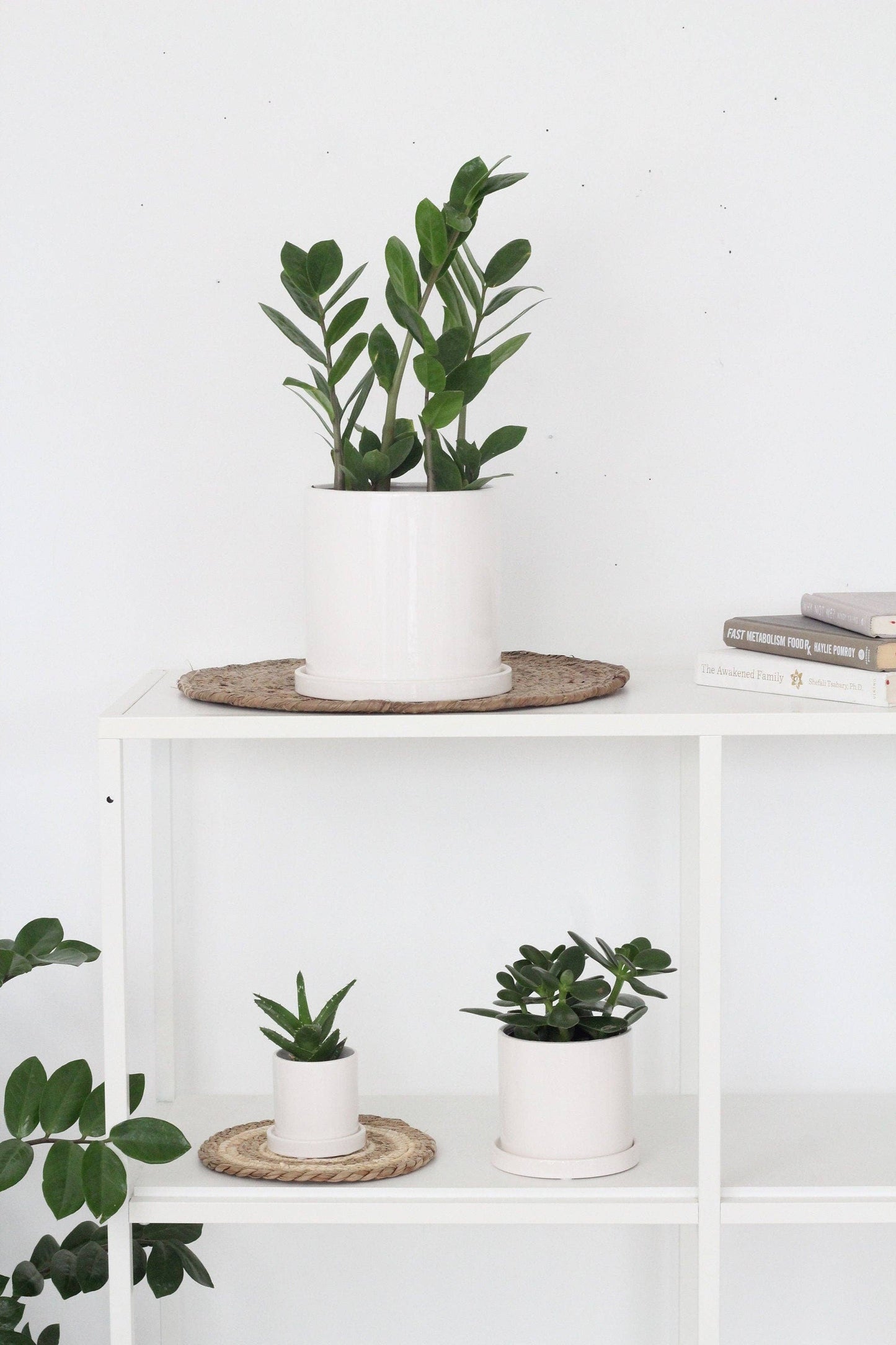 Mini Glossy White Pot & Saucer