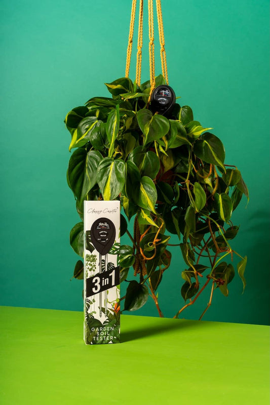 3 in 1 Moisture Meter