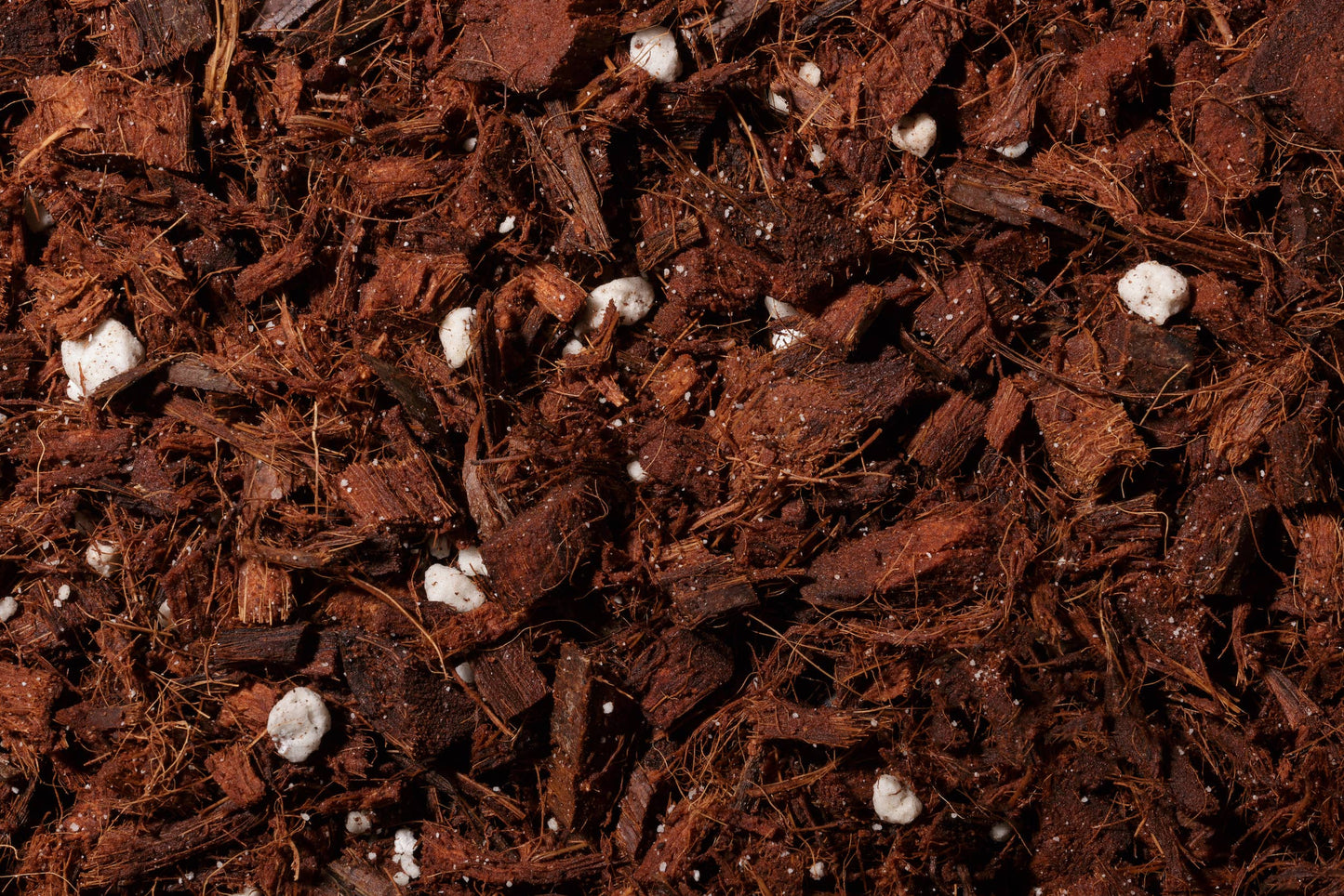 Noot Mix Coco-Based Houseplant Potting Mix