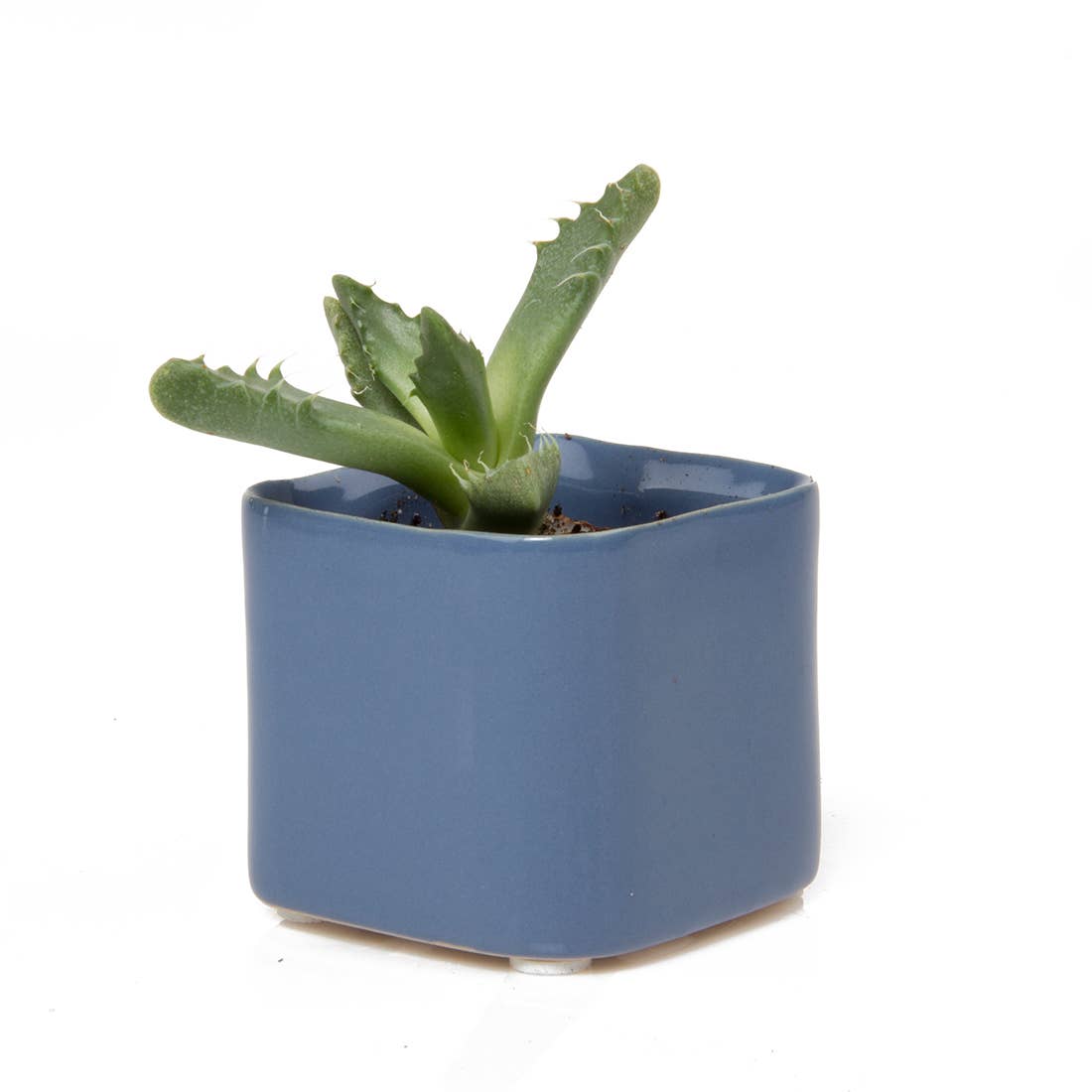 Mini Cube Ceramic Pots