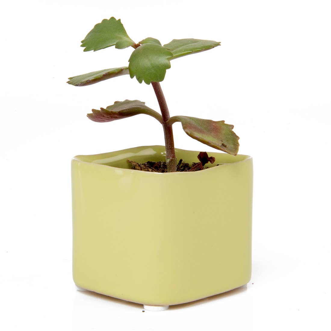 Mini Cube Ceramic Pots