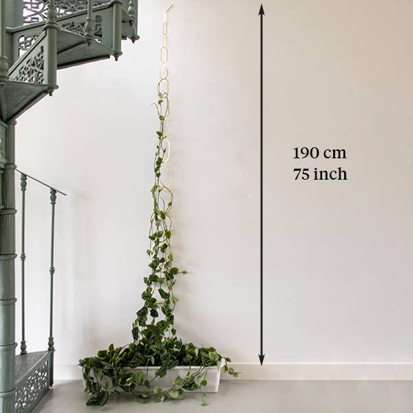 Climbing Plant Gold Brass Chain