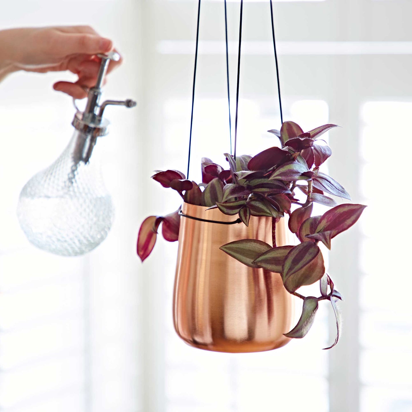 Handmade Iron Hanging Planter