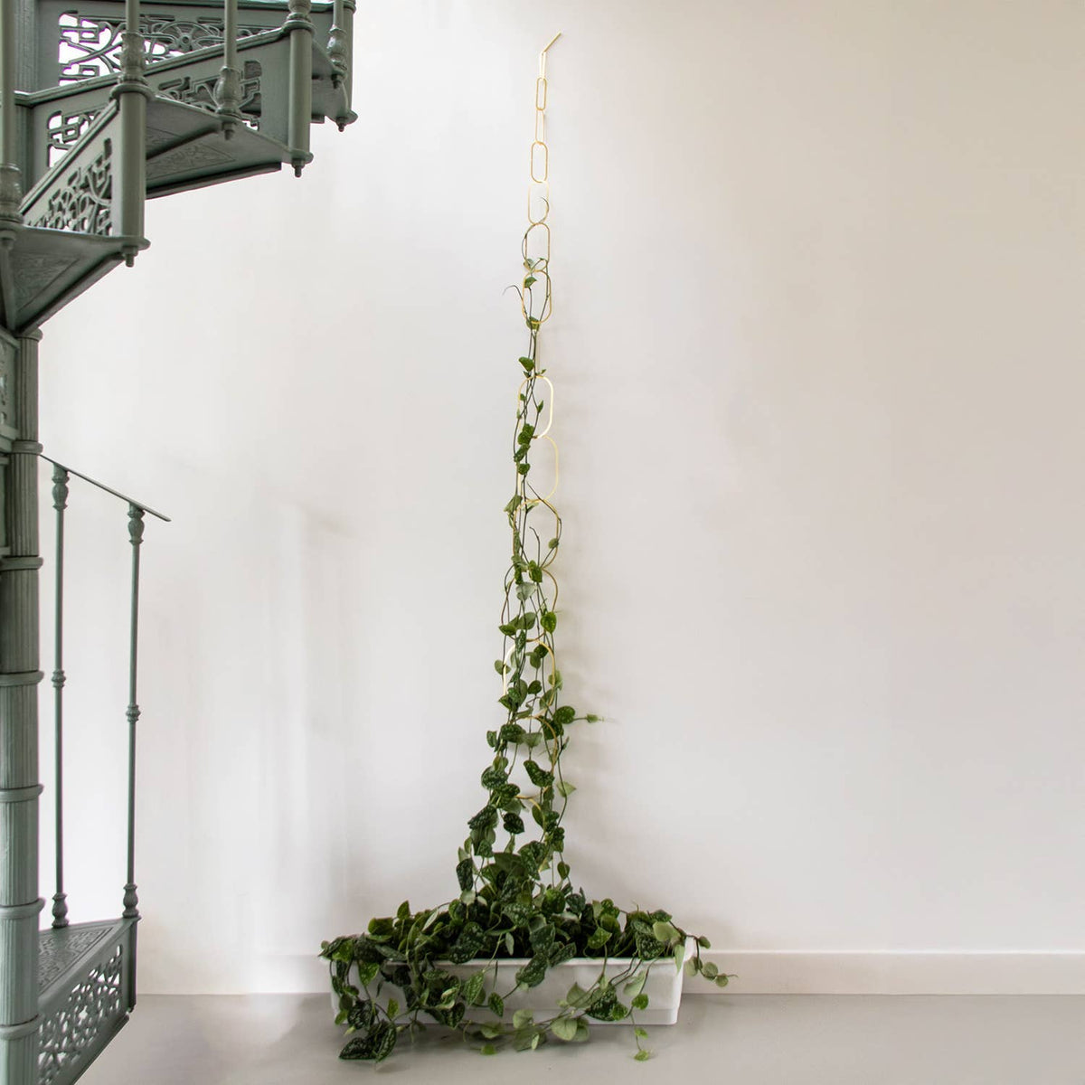 Climbing Plant Gold Brass Chain