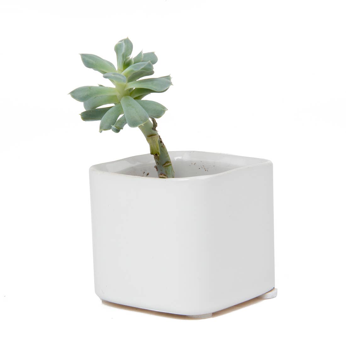 Mini Cube Ceramic Pots