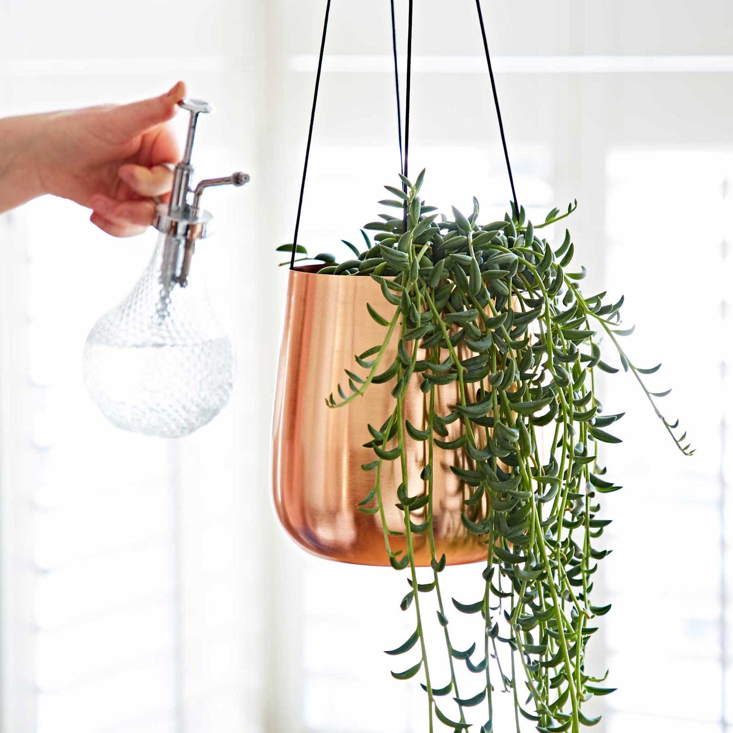 Handmade Iron Hanging Planter