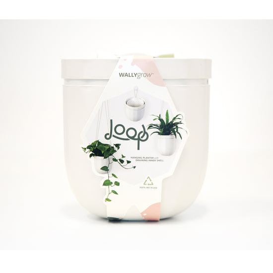 Loop Hanging Planter in White