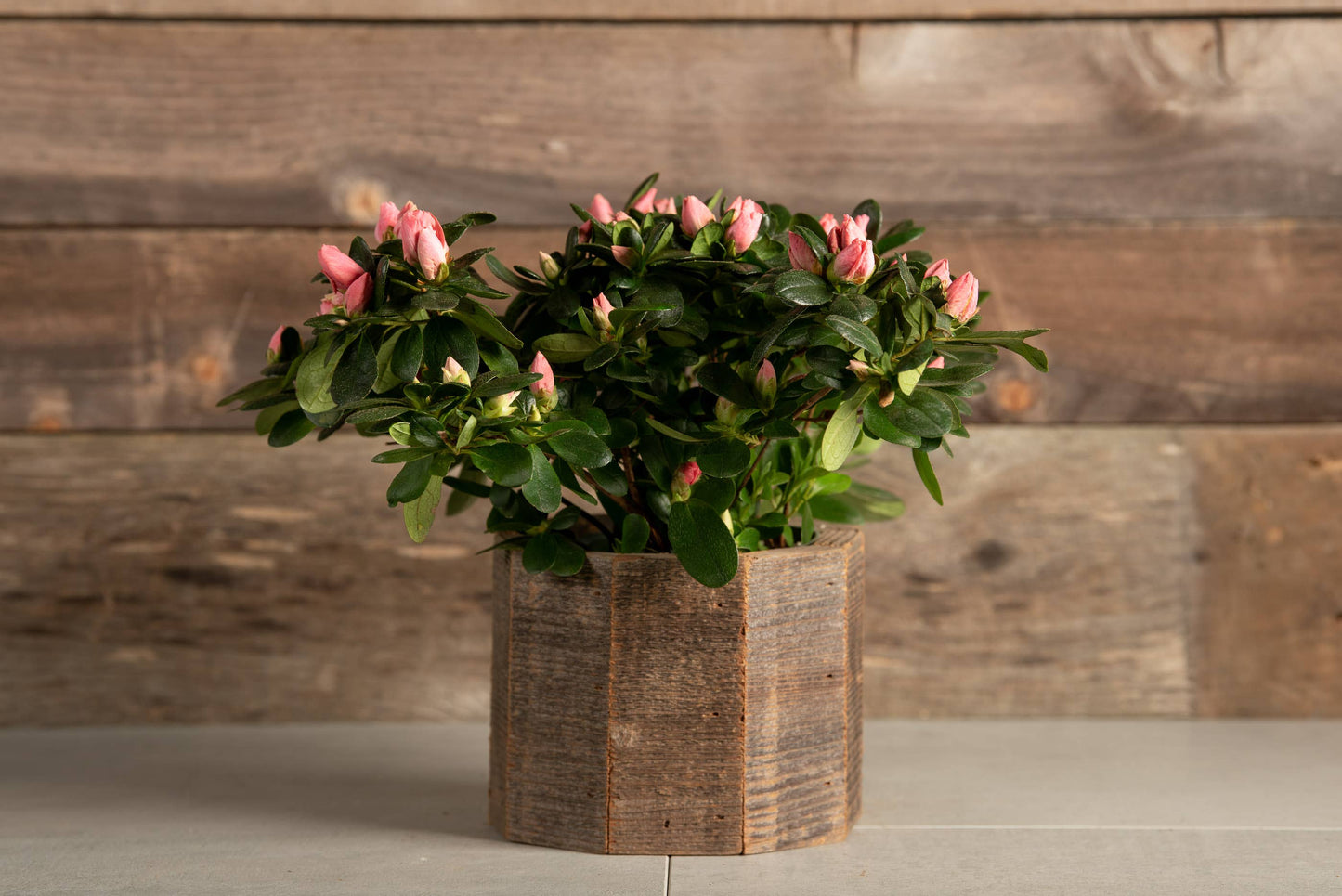 Geometric Reclaimed Wood Planter