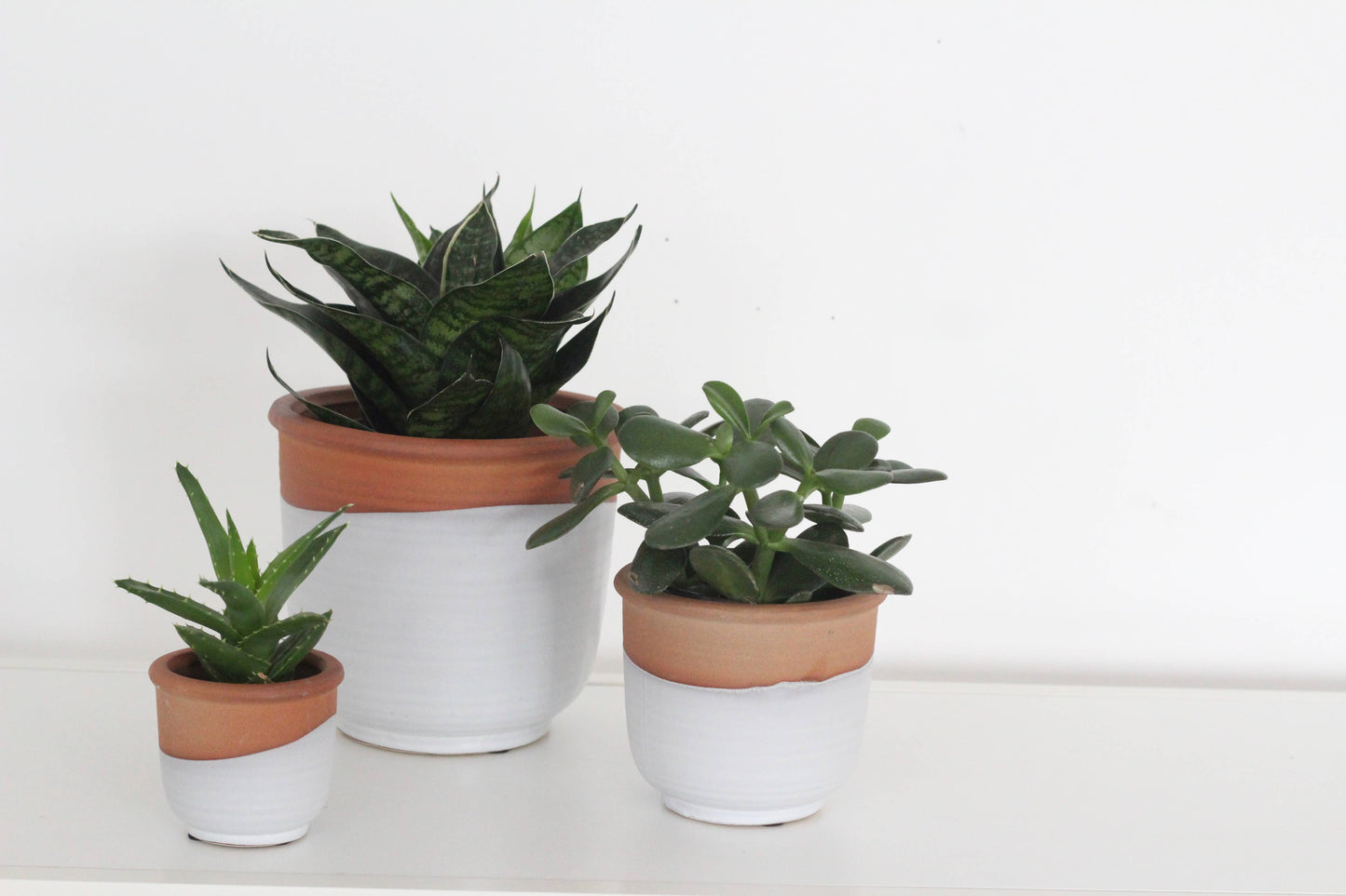 Terracotta Matte White Ceramic Pot