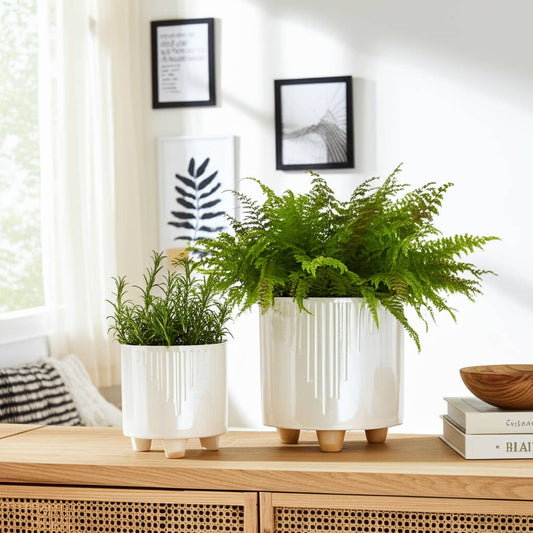 Ivory Ceramic Glossy Footed Pot