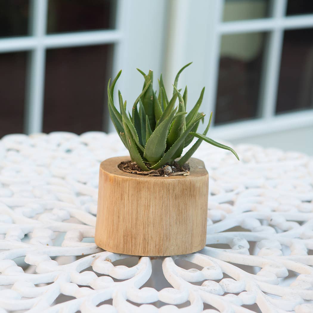 Teak Branch Pot Small